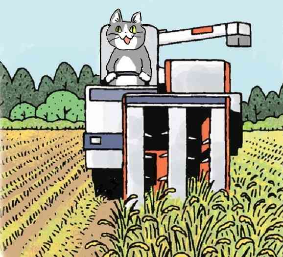 SNSで話題の“仕事猫”、ぬいぐるみ型クッションに