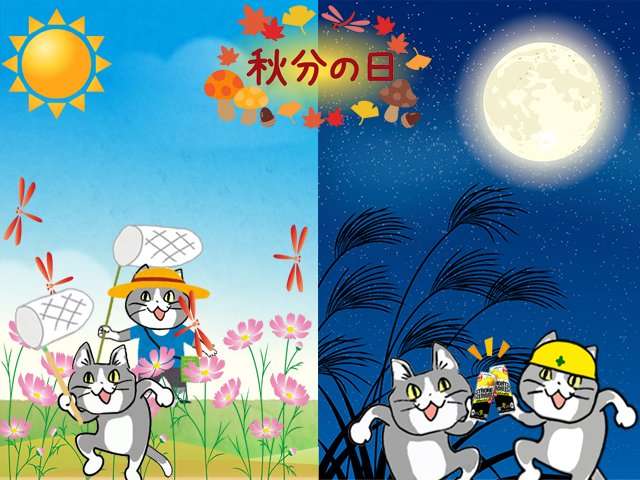 SNSで話題の“仕事猫”、ぬいぐるみ型クッションに