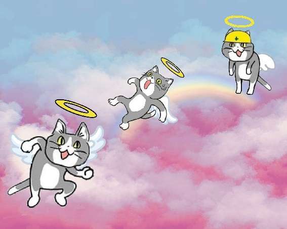 SNSで話題の“仕事猫”、ぬいぐるみ型クッションに
