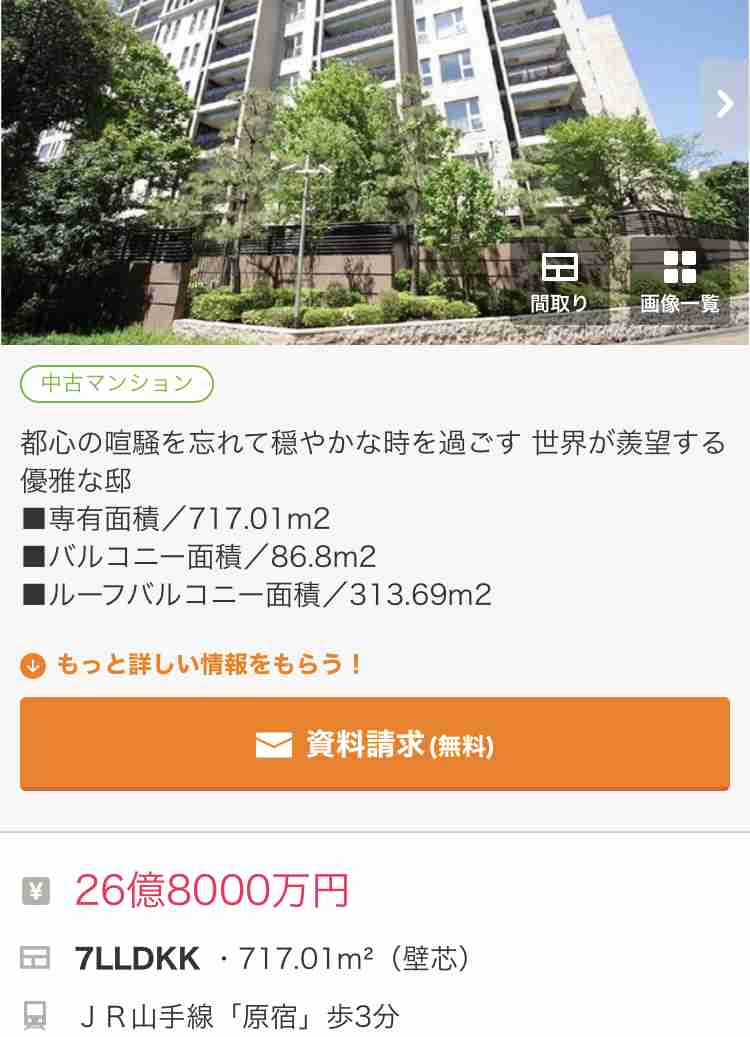 叶姉妹 どんな家に住んでいる?に「ウオークインクローゼットは150平米」「猫ちゃんの部屋は20畳」
