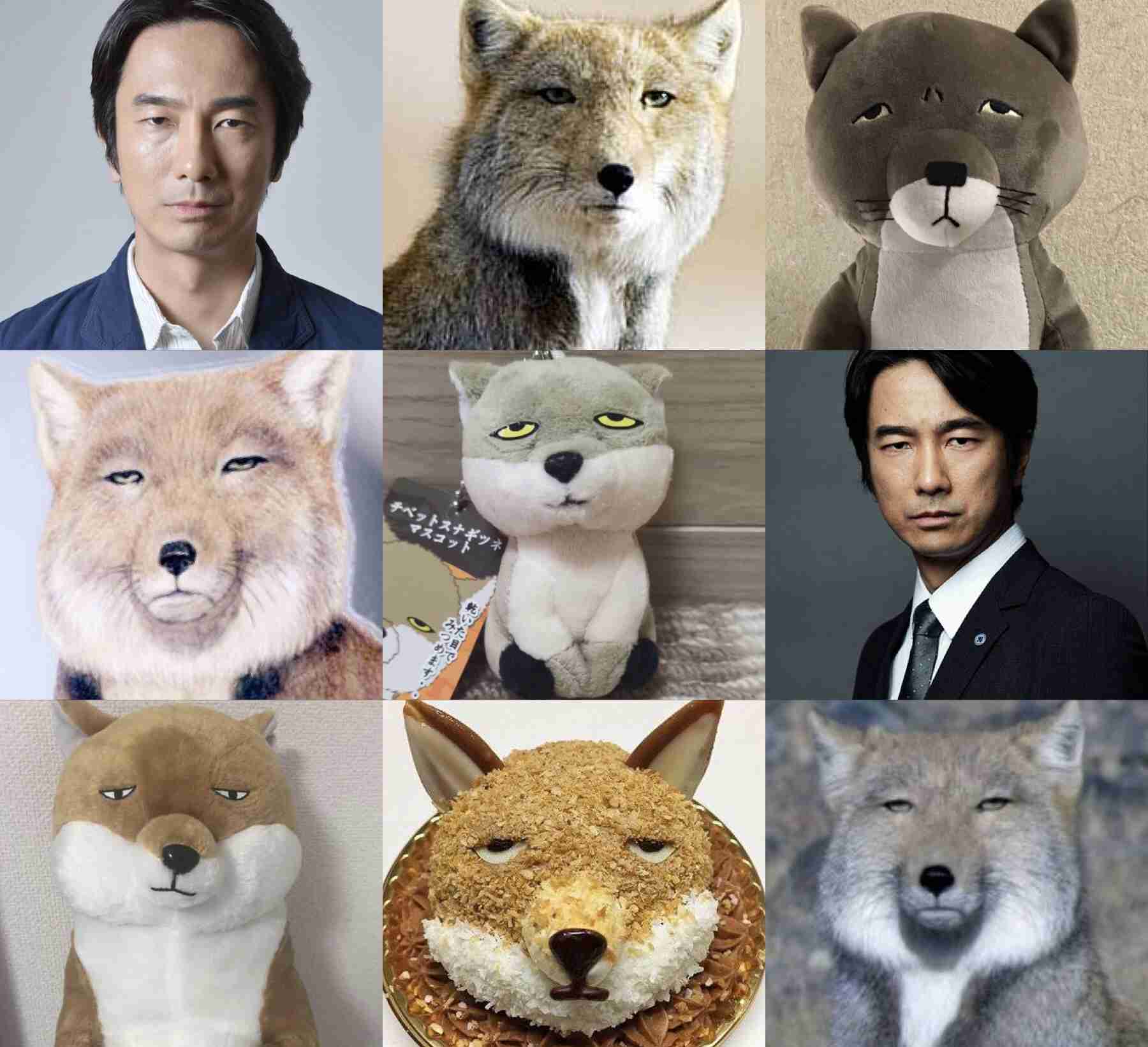 眞島秀和、チベスナ映像に大興奮「おお！」　顔似せるサービスも