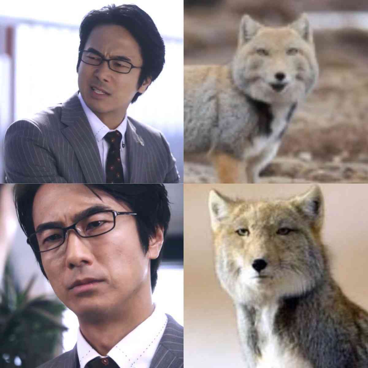 眞島秀和、チベスナ映像に大興奮「おお！」　顔似せるサービスも
