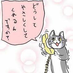 がるちゃん猫カフェ57号店 開店しました♪(初めての方も大歓迎!!)