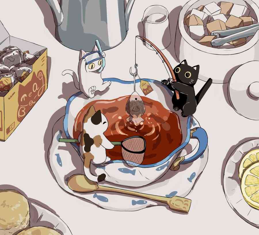 がるちゃん猫カフェ57号店 開店しました♪(初めての方も大歓迎!!)