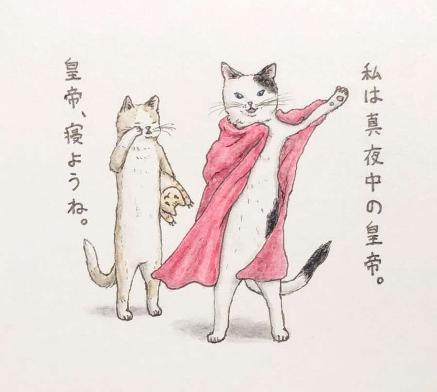 がるちゃん猫カフェ57号店 開店しました♪(初めての方も大歓迎!!)