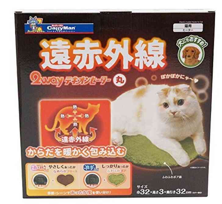 がるちゃん猫カフェ57号店 開店しました♪(初めての方も大歓迎!!)