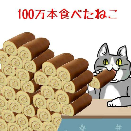 がるちゃん猫カフェ57号店 開店しました♪(初めての方も大歓迎!!)