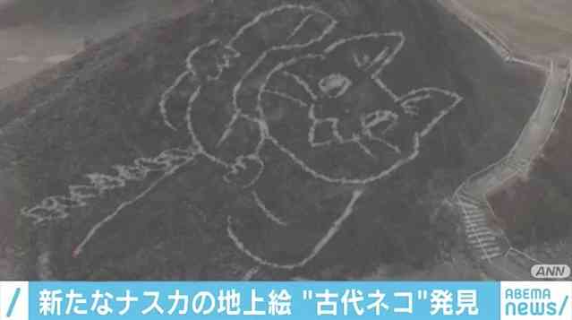 がるちゃん猫カフェ57号店 開店しました♪(初めての方も大歓迎!!)