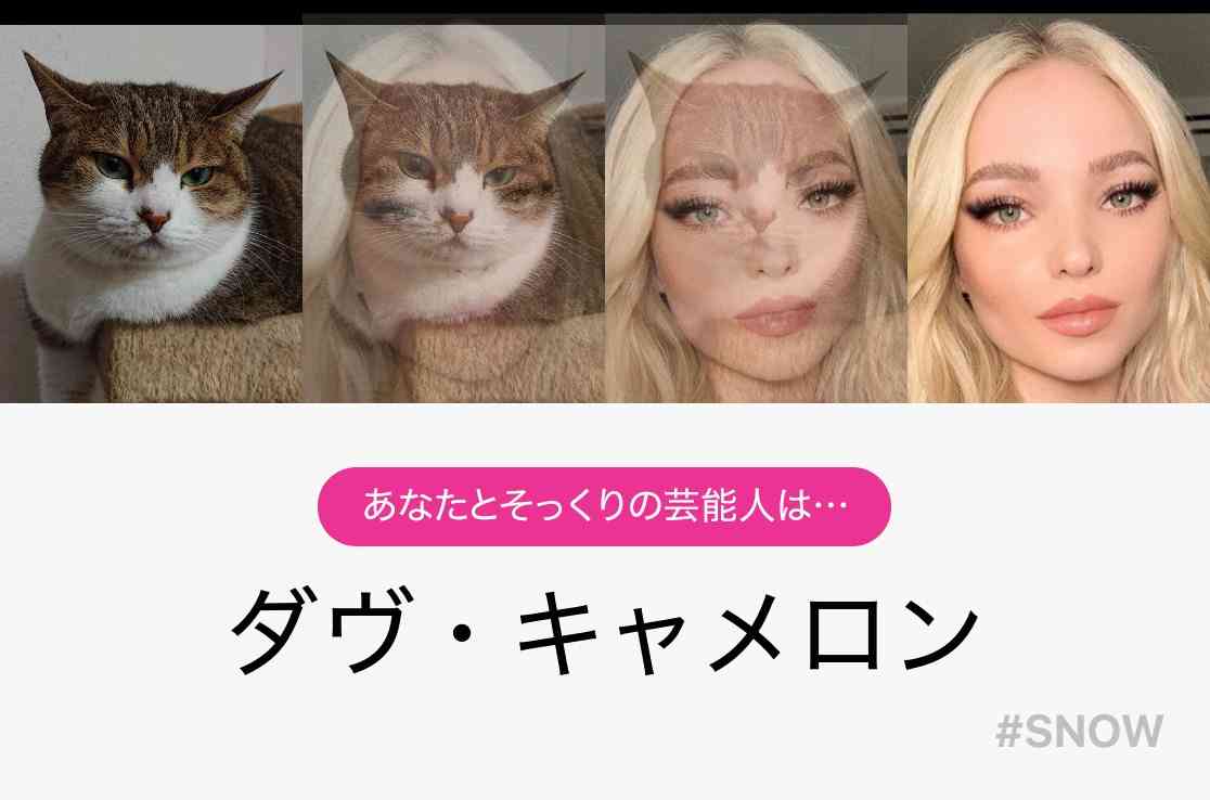 がるちゃん猫カフェ57号店 開店しました♪(初めての方も大歓迎!!)