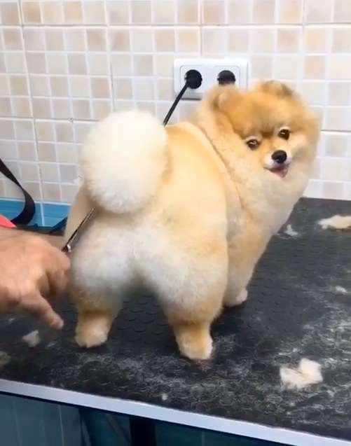 丸いもの集まれ!