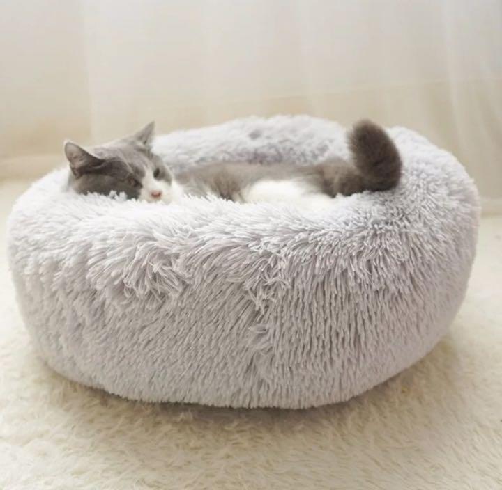 ふかふかからの脱出