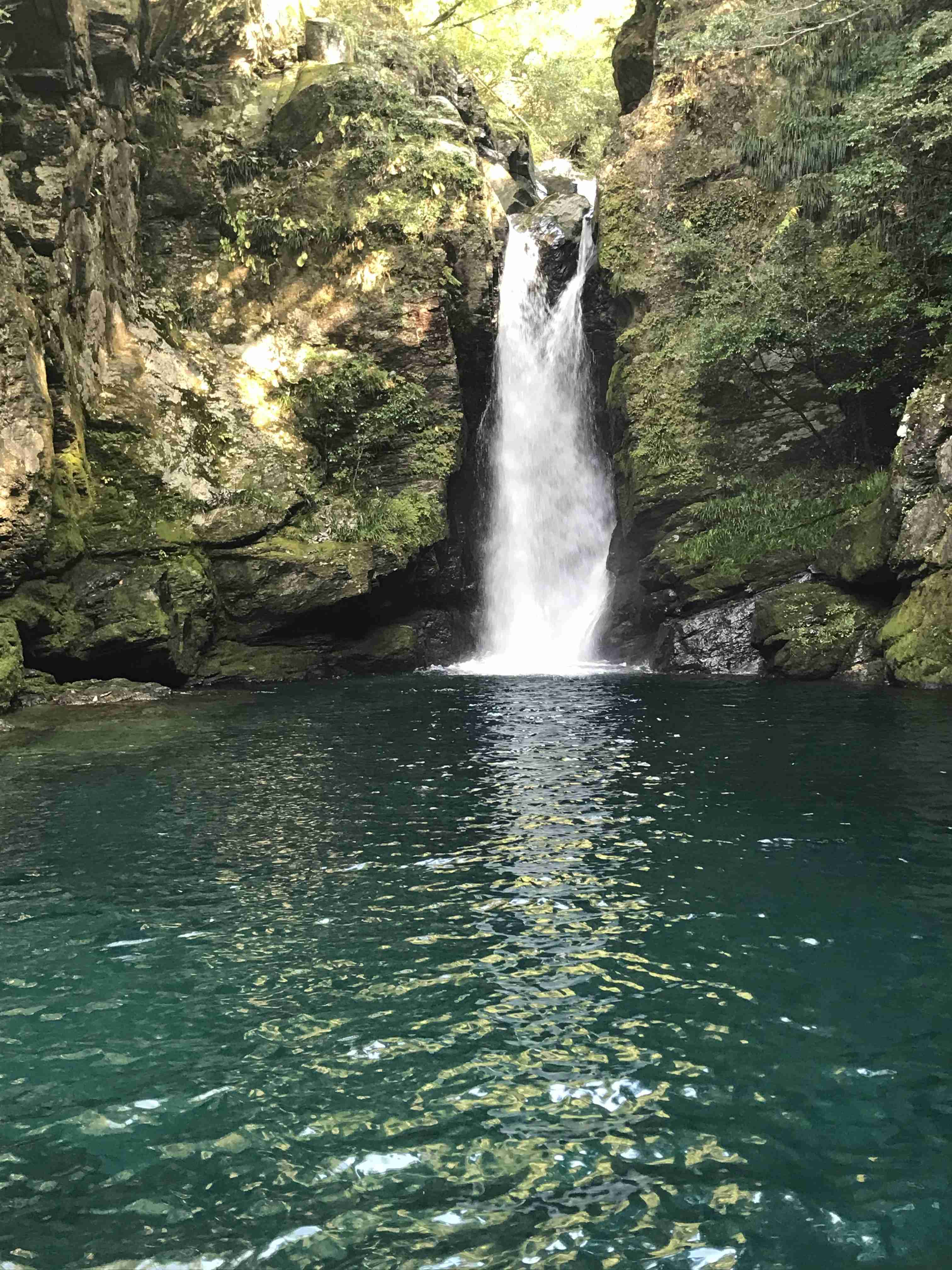 高知県民集まれ〜!!