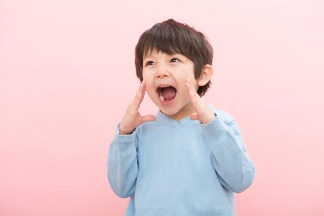 声の重要性