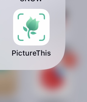 知ってる人が簡潔に教えてくれるトピ