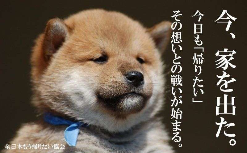 【10月】意識低い系トピ