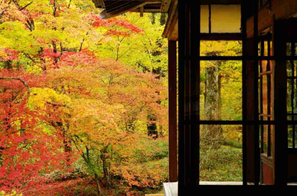 日本庭園/日本家屋が好きな人が集まるトピ