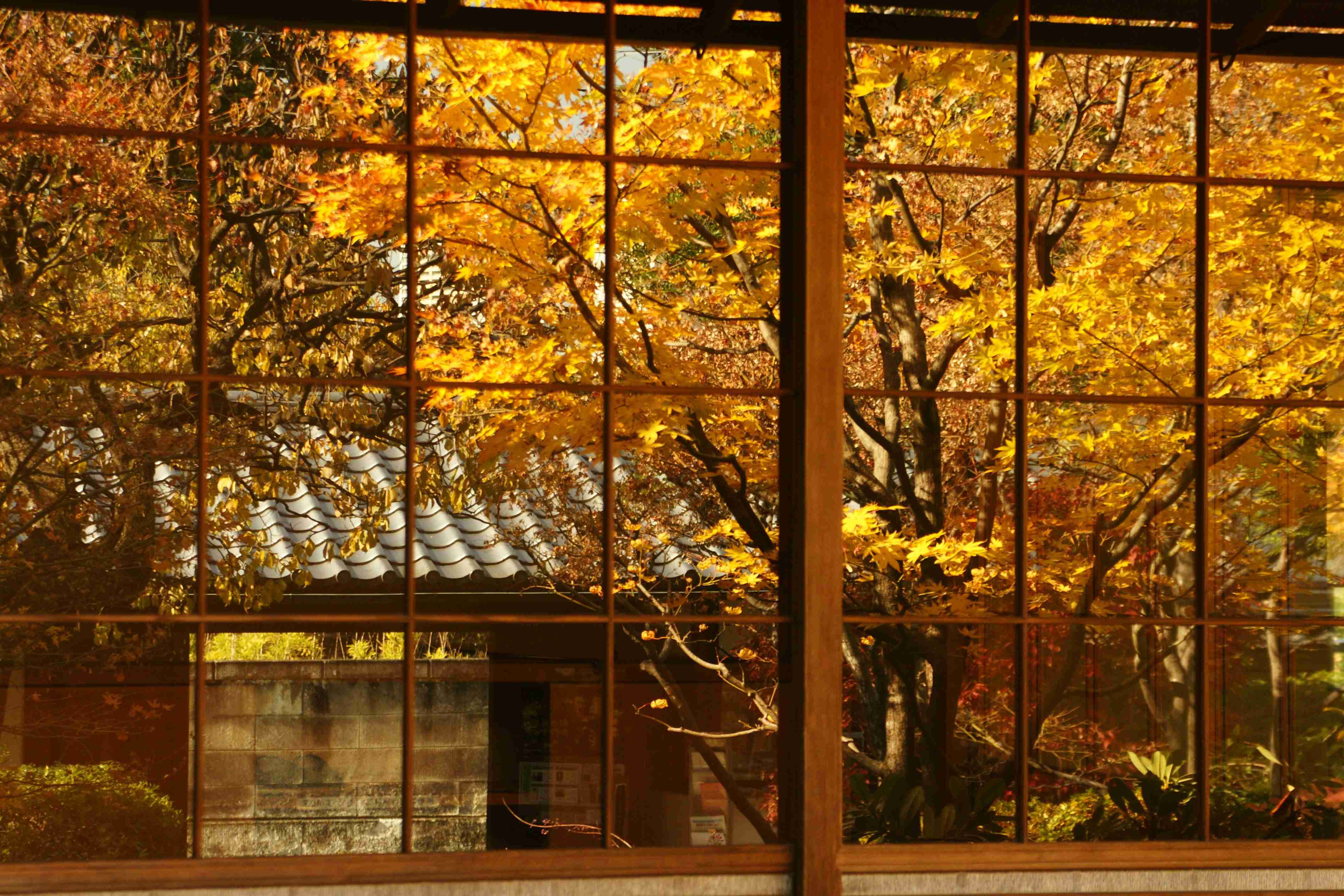 日本庭園/日本家屋が好きな人が集まるトピ