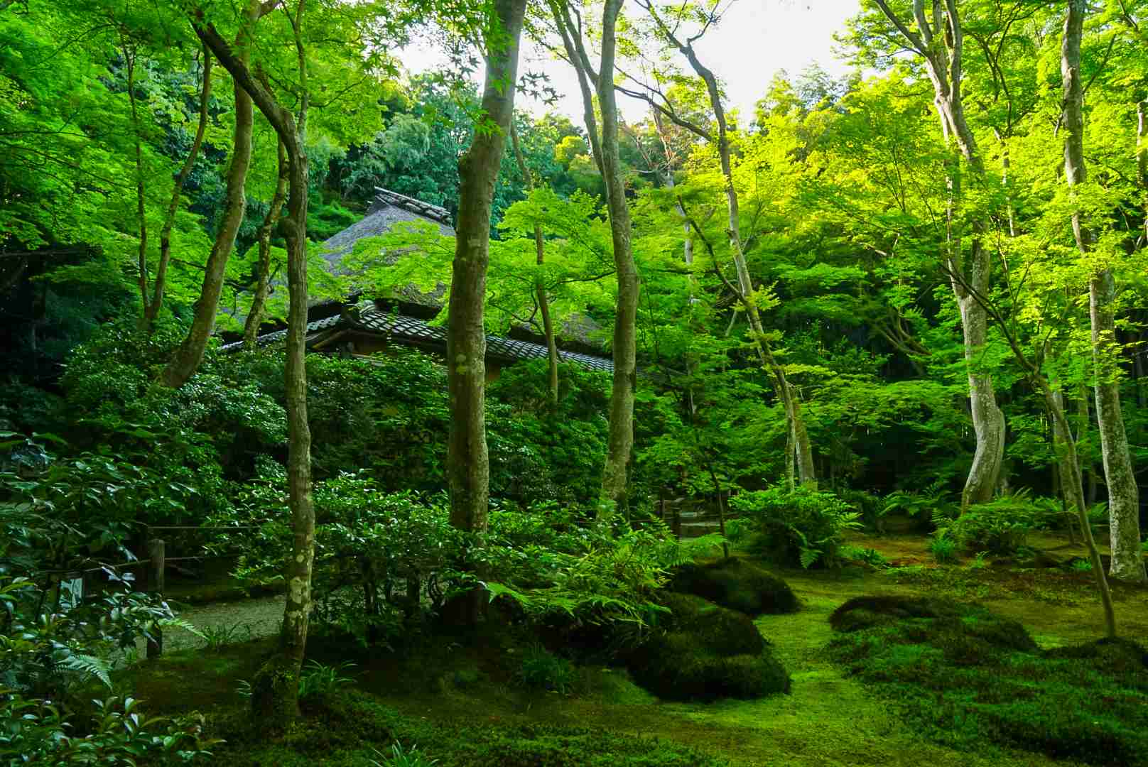 日本庭園/日本家屋が好きな人が集まるトピ