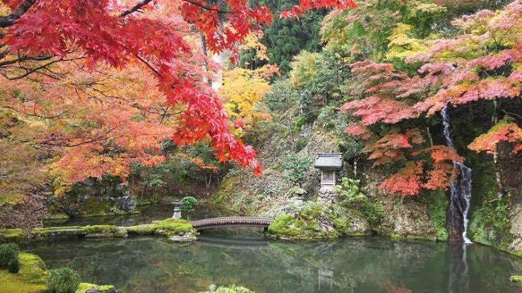 日本庭園/日本家屋が好きな人が集まるトピ
