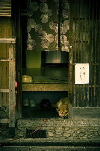 日本庭園/日本家屋が好きな人が集まるトピ