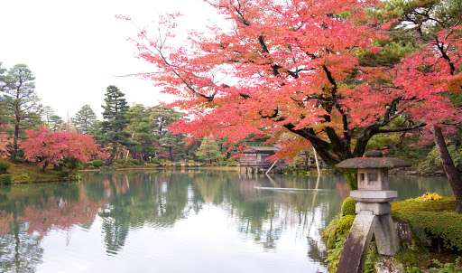 日本庭園/日本家屋が好きな人が集まるトピ
