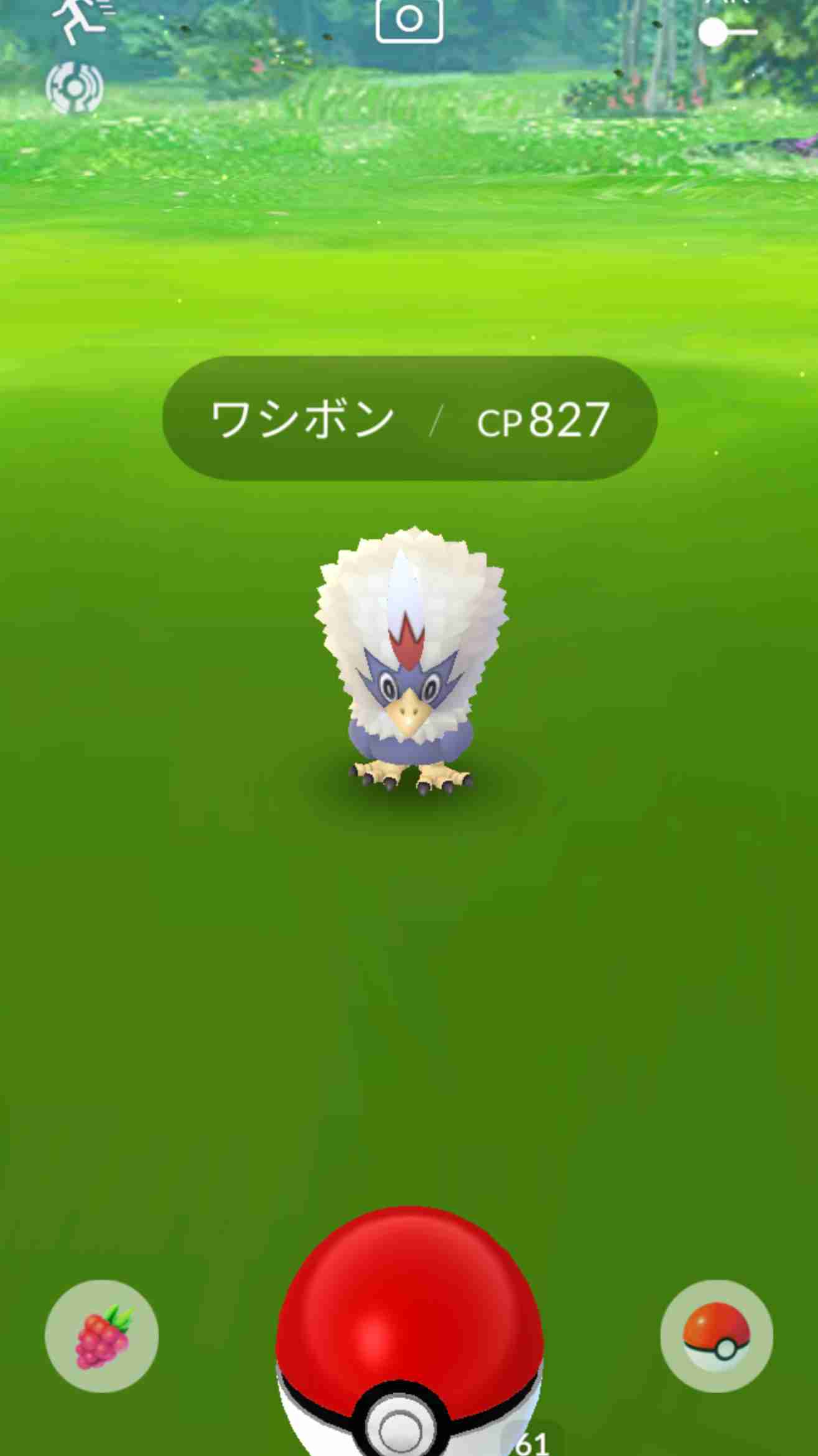 ポケモンGOをやっている人!part.51