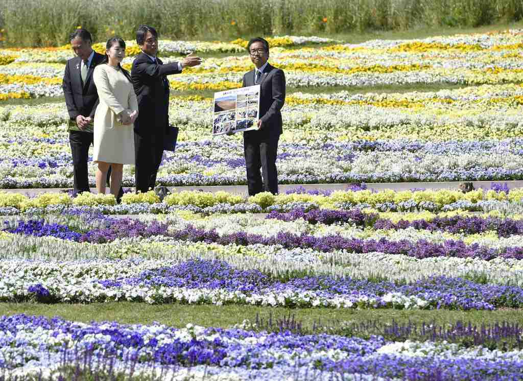 普通体型とぽっちゃりの違い