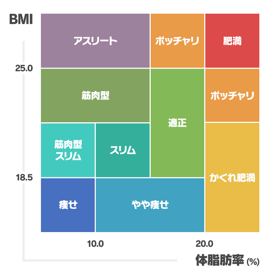 普通体型とぽっちゃりの違い