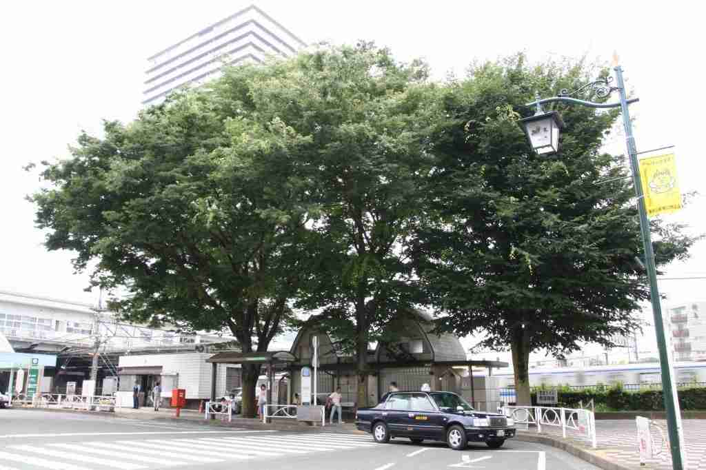「志村けんさんの銅像を」東村山市で募金呼びかけ