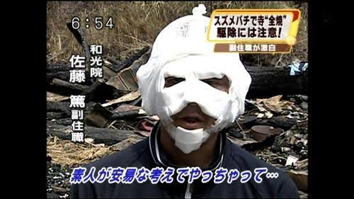 「スズメバチに刺された」園児ら8人搬送 鳥取市