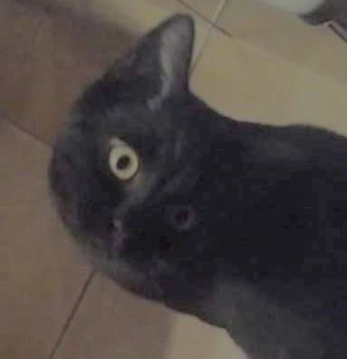 あれ？って思った画像を貼るトピ