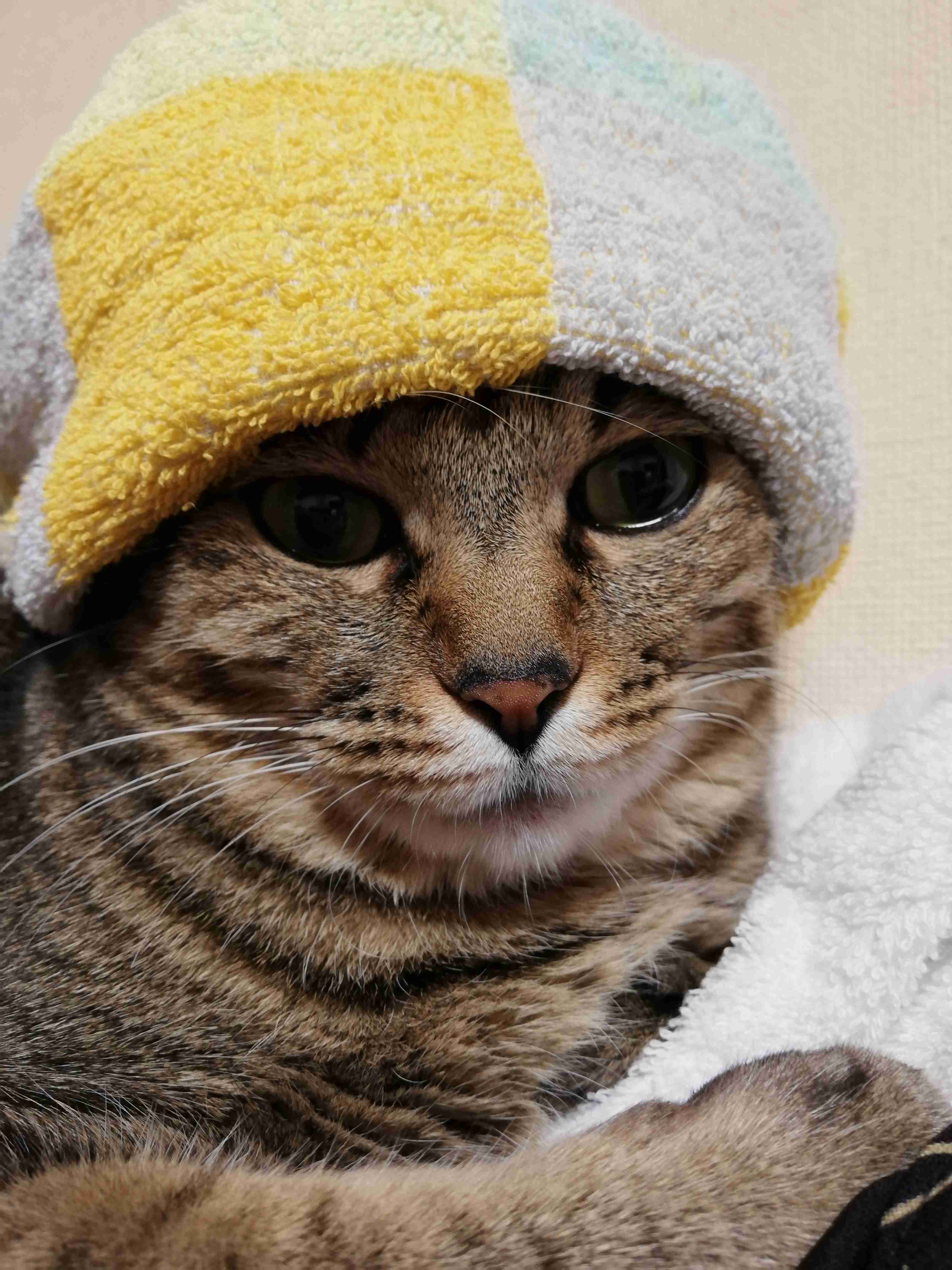 あれ？って思った画像を貼るトピ