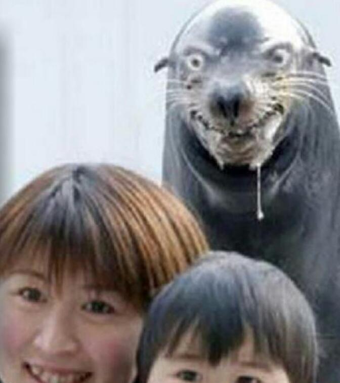 あれ？って思った画像を貼るトピ