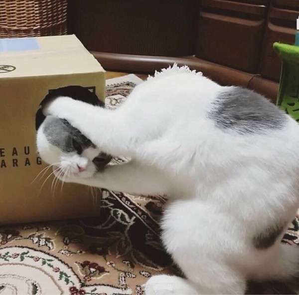 あれ？って思った画像を貼るトピ