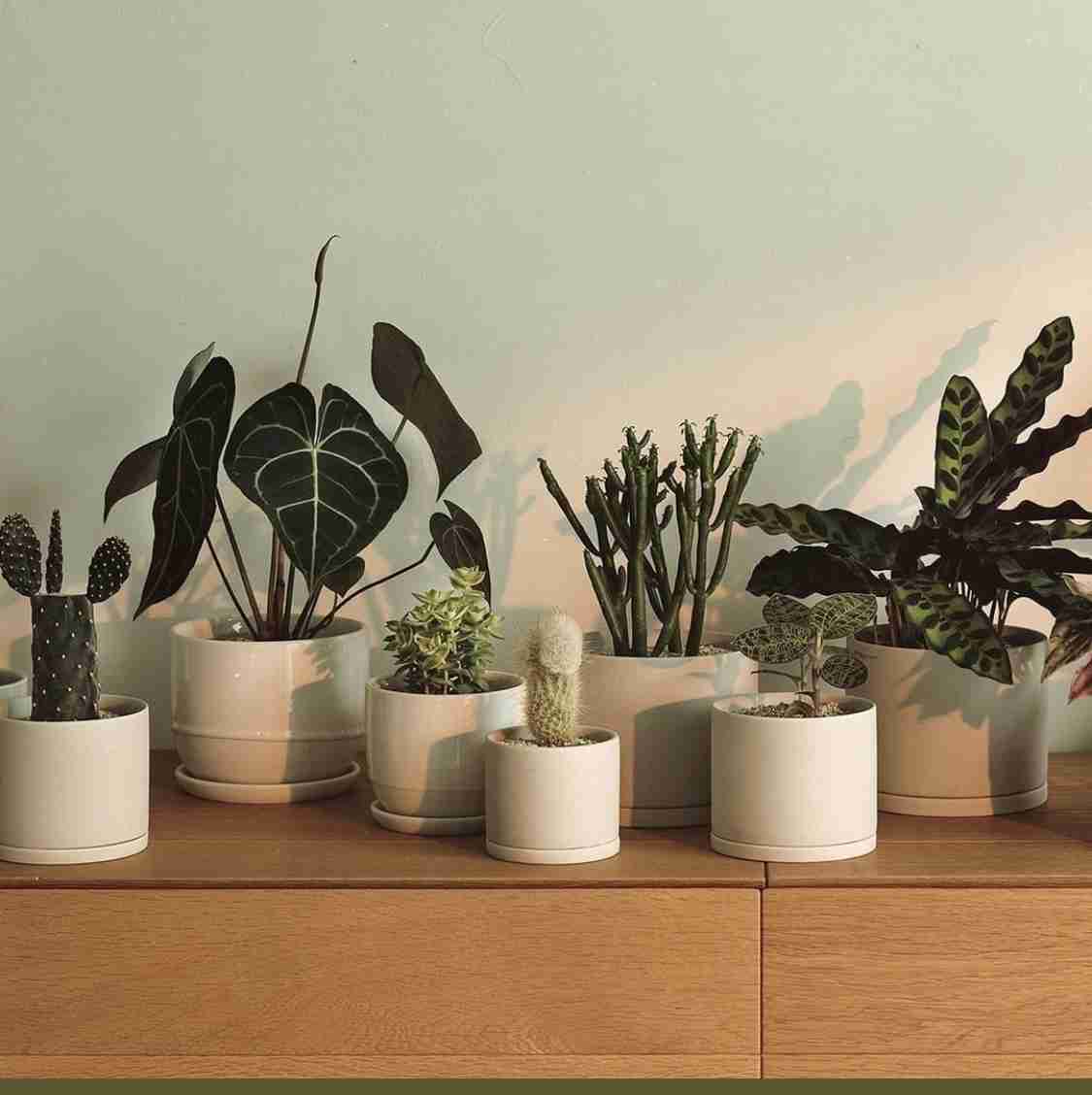 あれ？って思った画像を貼るトピ