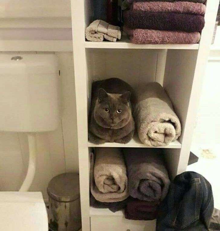 あれ？って思った画像を貼るトピ