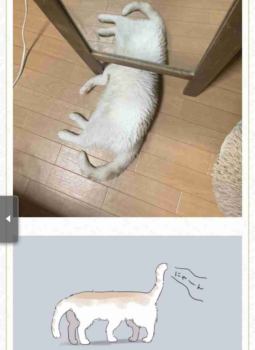 あれ？って思った画像を貼るトピ