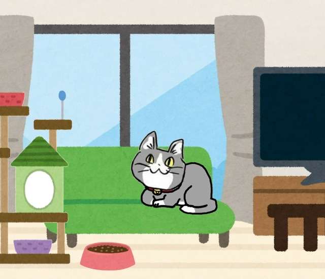 あれ？って思った画像を貼るトピ