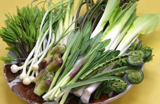食べ方が未だによく分からない食べ物