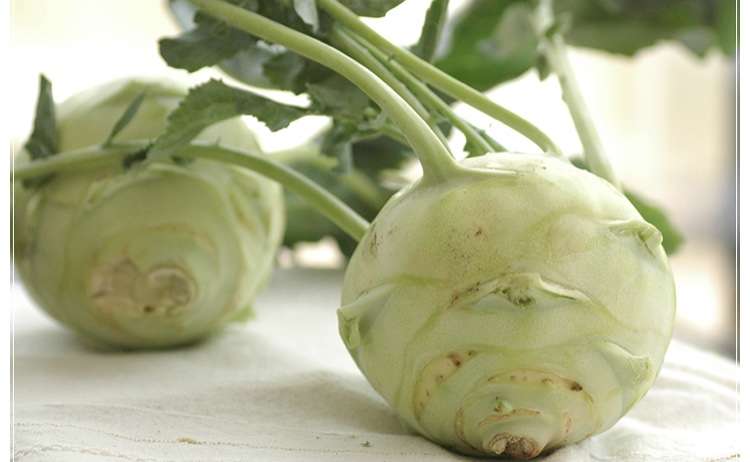 食べ方が未だによく分からない食べ物