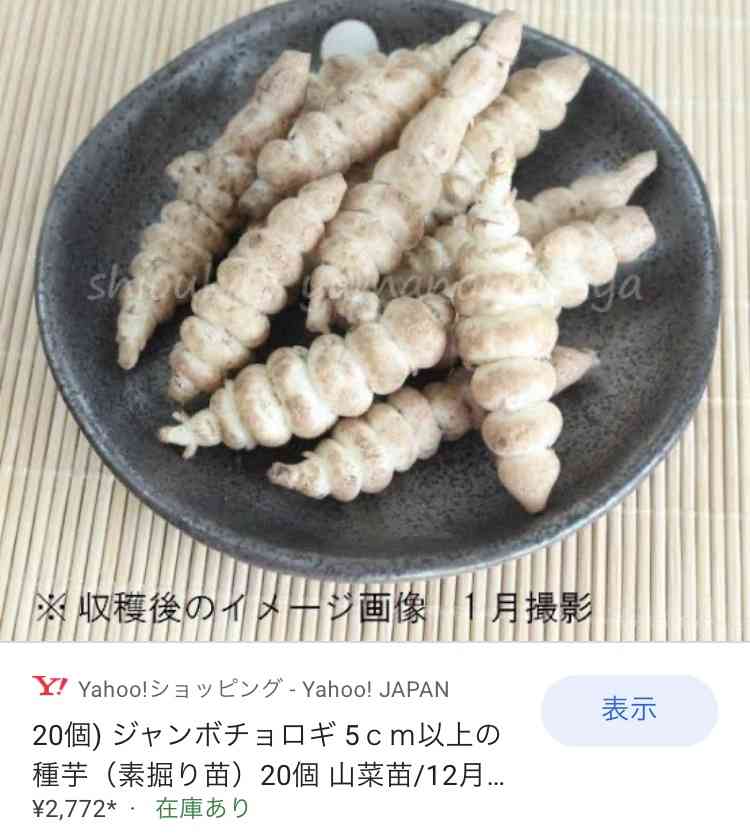 食べ方が未だによく分からない食べ物
