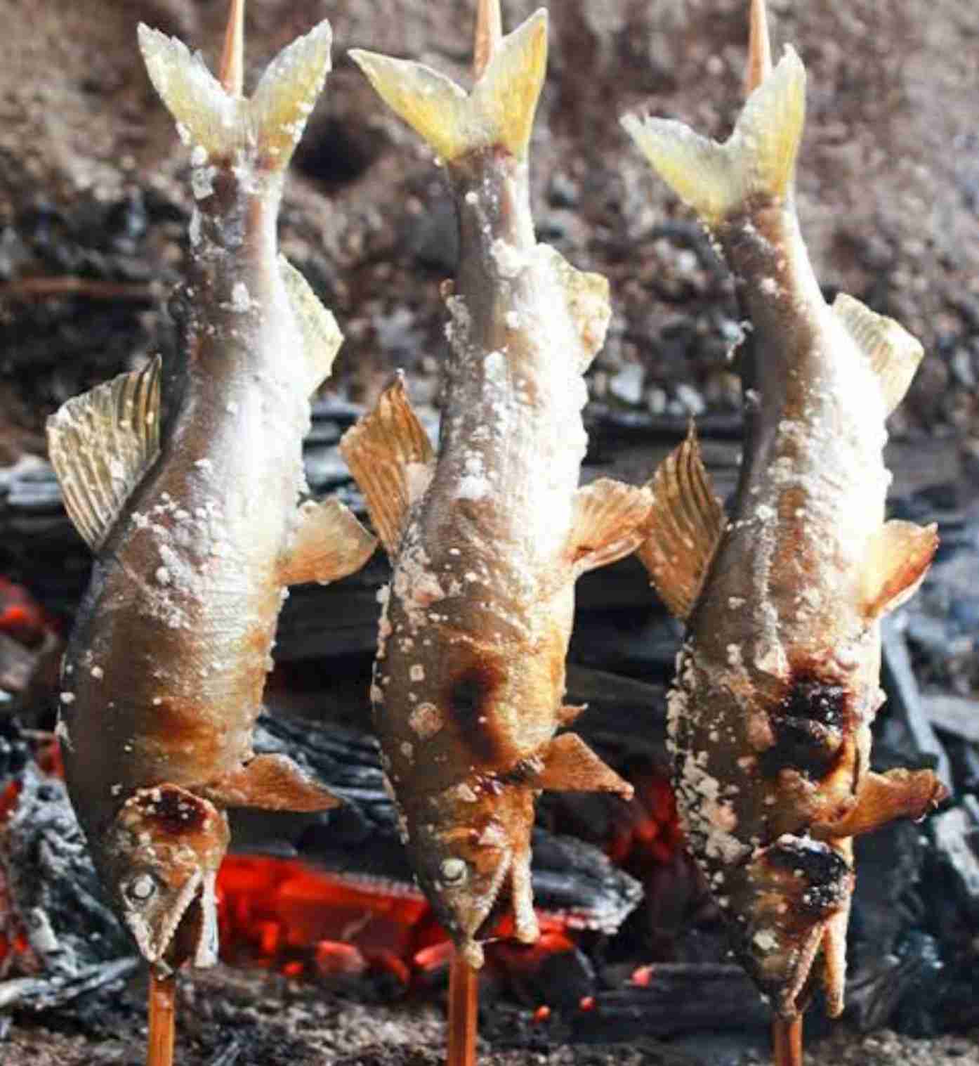 食べ方が未だによく分からない食べ物