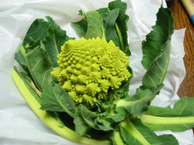 食べ方が未だによく分からない食べ物