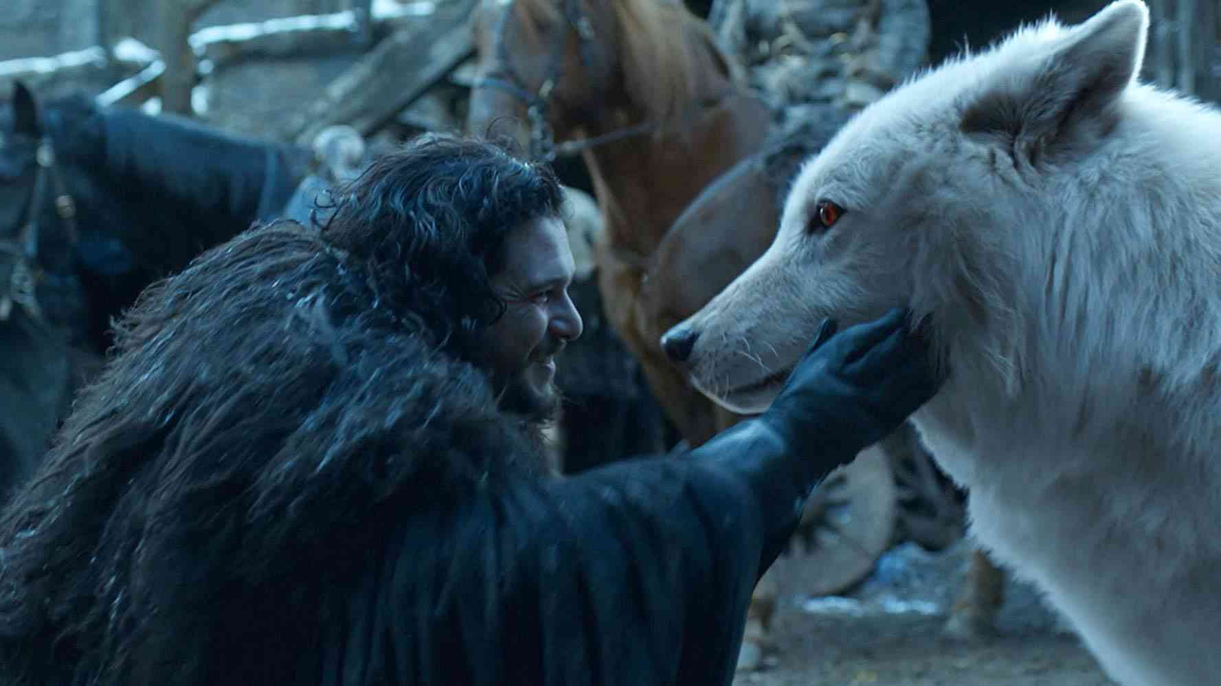 狼の画像を貼るトピ ガールズちゃんねる Girls Channel