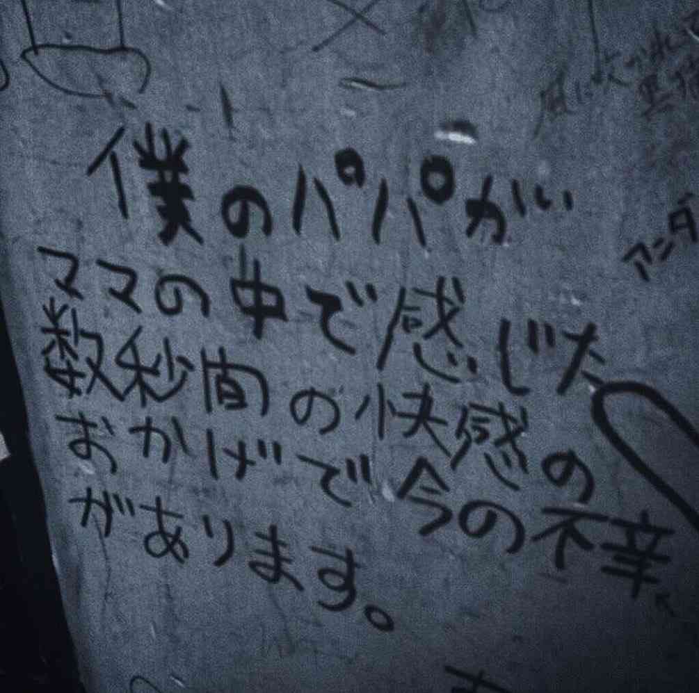 【閲覧注意かも】衝撃を受けた画像を貼るトピ