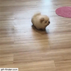 【閲覧注意かも】衝撃を受けた画像を貼るトピ