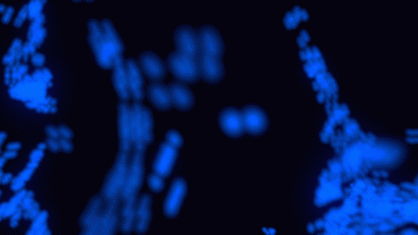 上の子可愛くない症候群