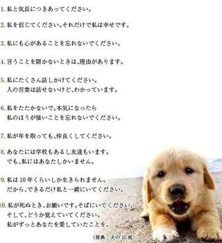 ペット飼い主の2割が「コロナ禍で新たに迎えた」と回答 人気上位はやはり「犬」「猫」