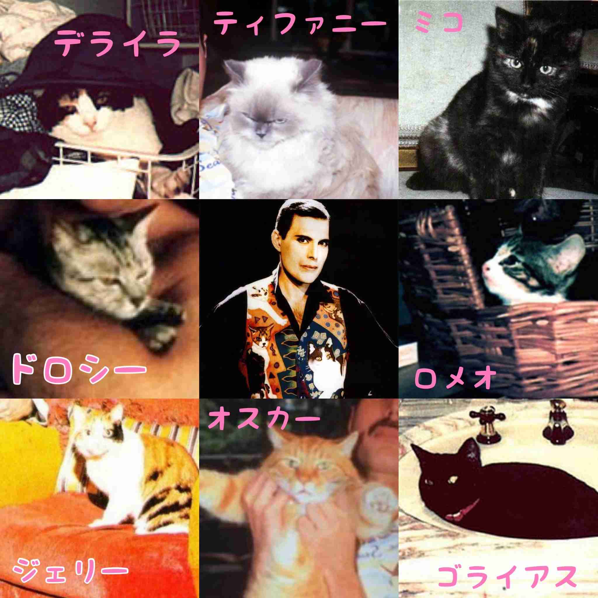 いろいろなQueenが見たいPart４