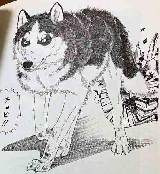 行方不明者捜索中の警察犬、逃走中　「見つけたら通報して」